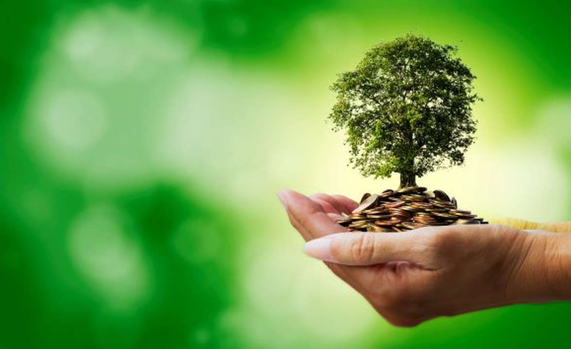 5 Rules of Thumb to Building A Sufficient Pension Image